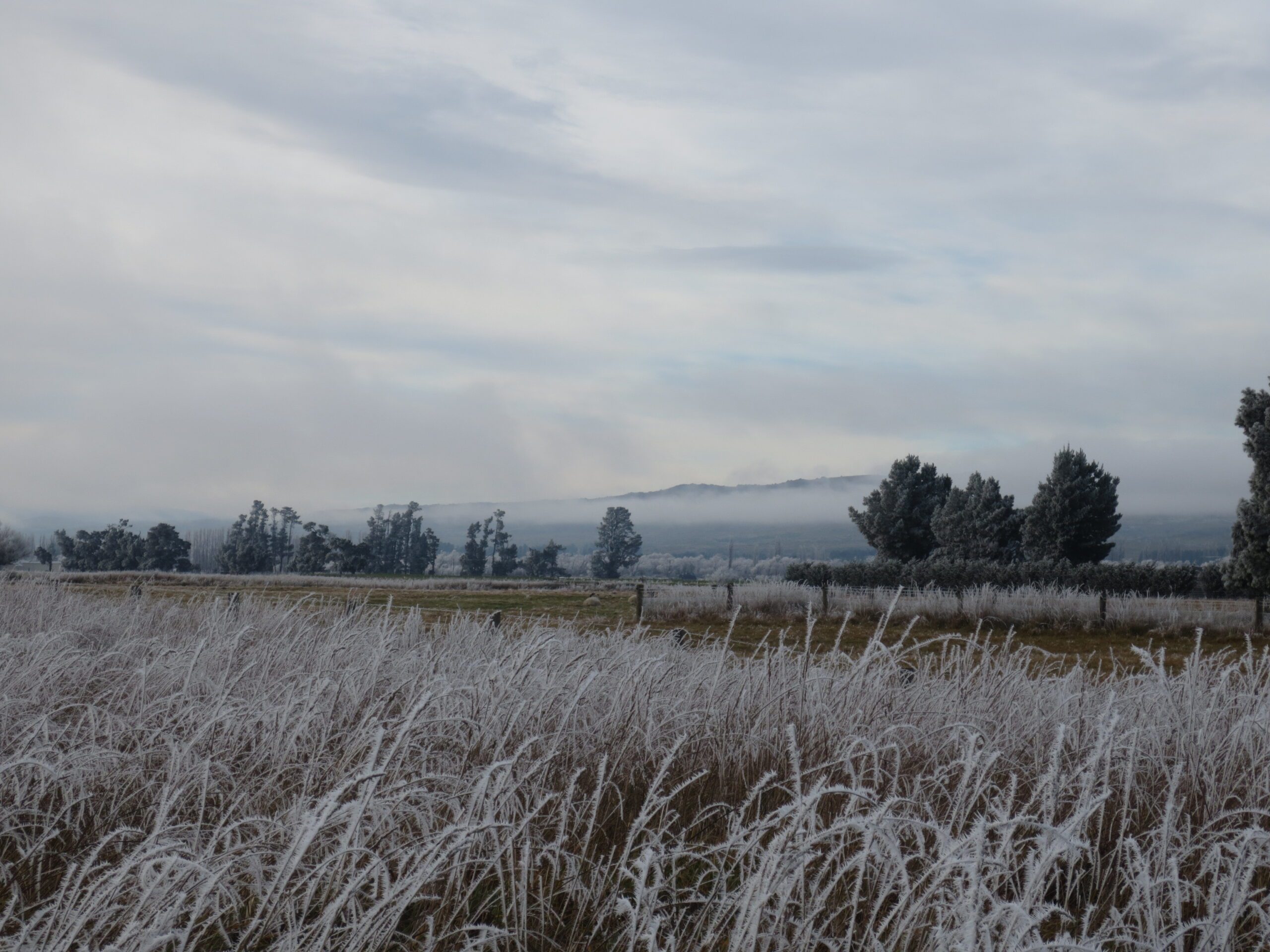 Otago Rail Trail in Winter: Daisybank to Middlemarch