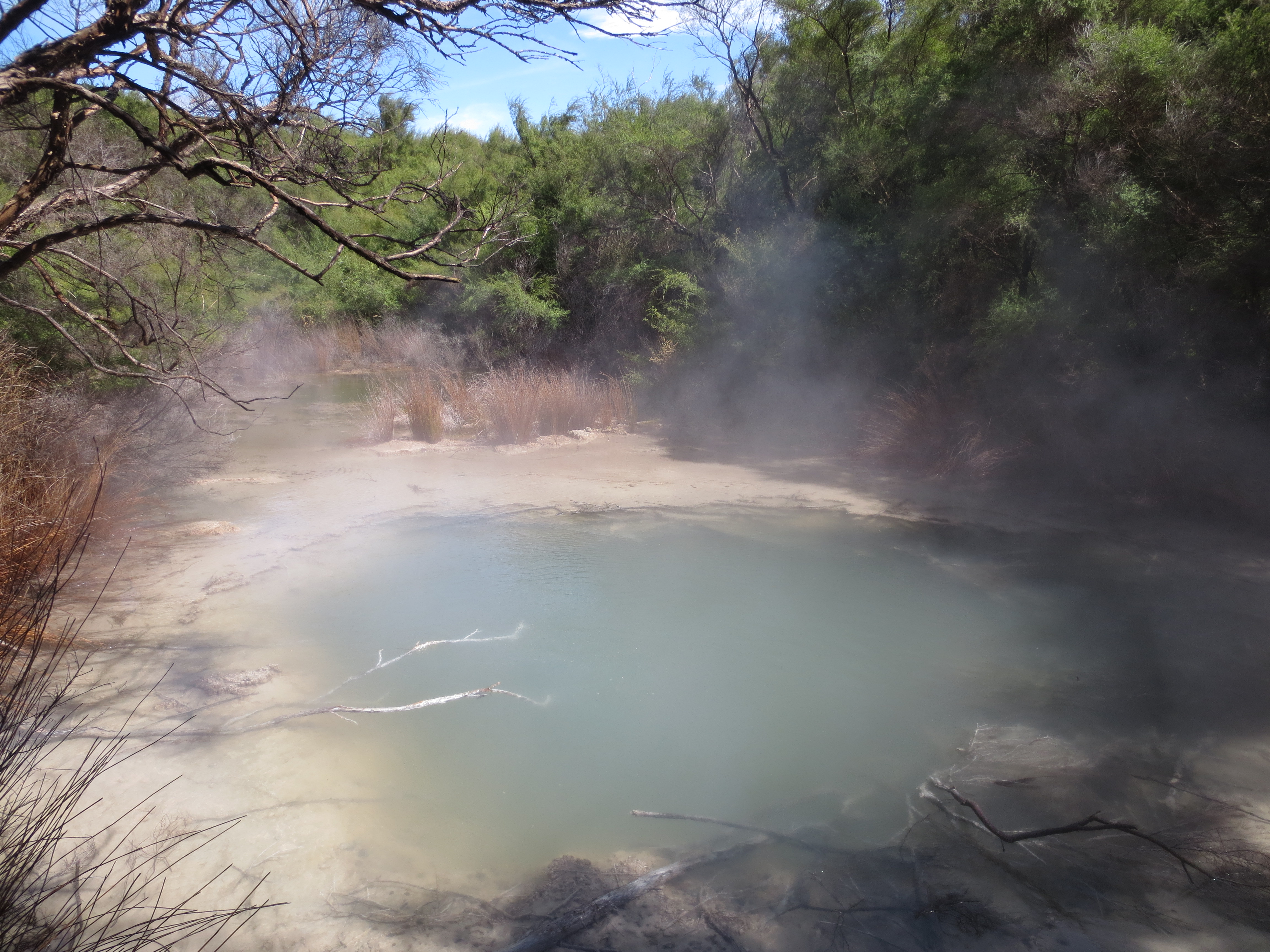 Beware: the dangers of New Zealand’s thermal springs