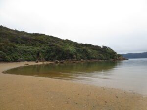 5 interesting facts you might not know about Stewart Island/Rakiura