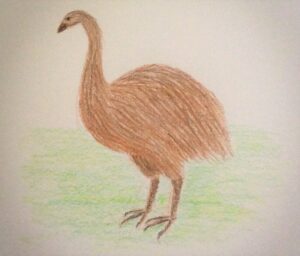 The Hilarious New Zealand Moa Hoax