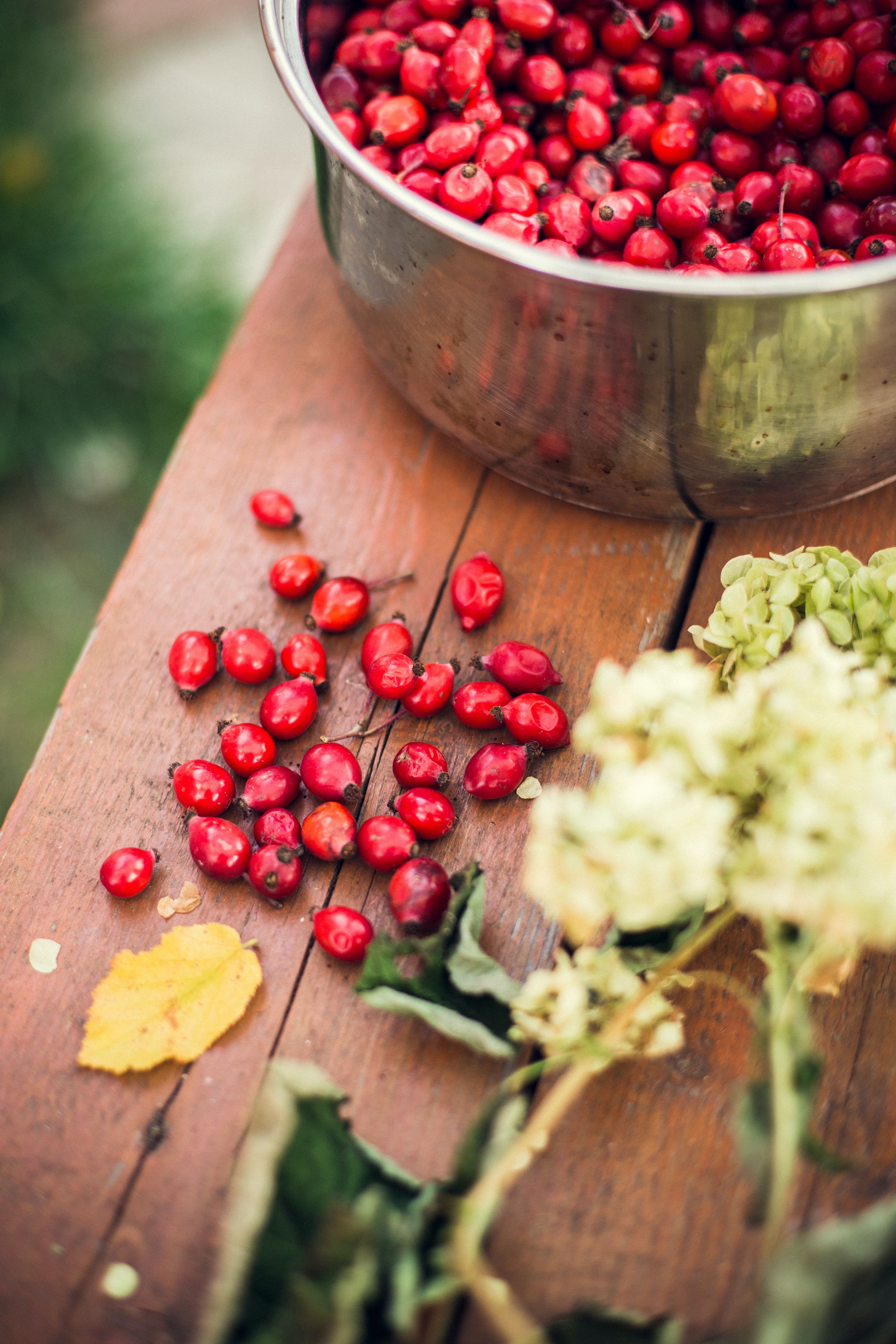 How to preserve rosehips: an easy guide