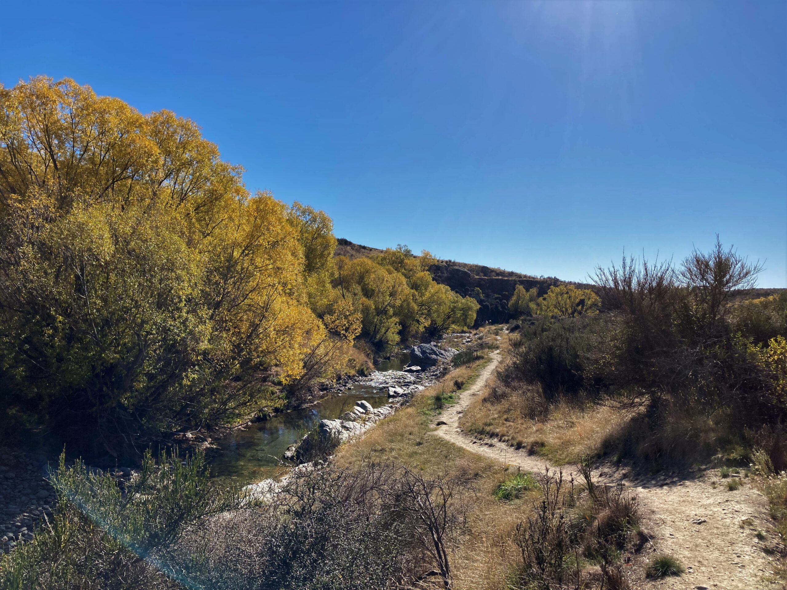 Visiting Ranfurly? Don’t miss these four stunning nature walks